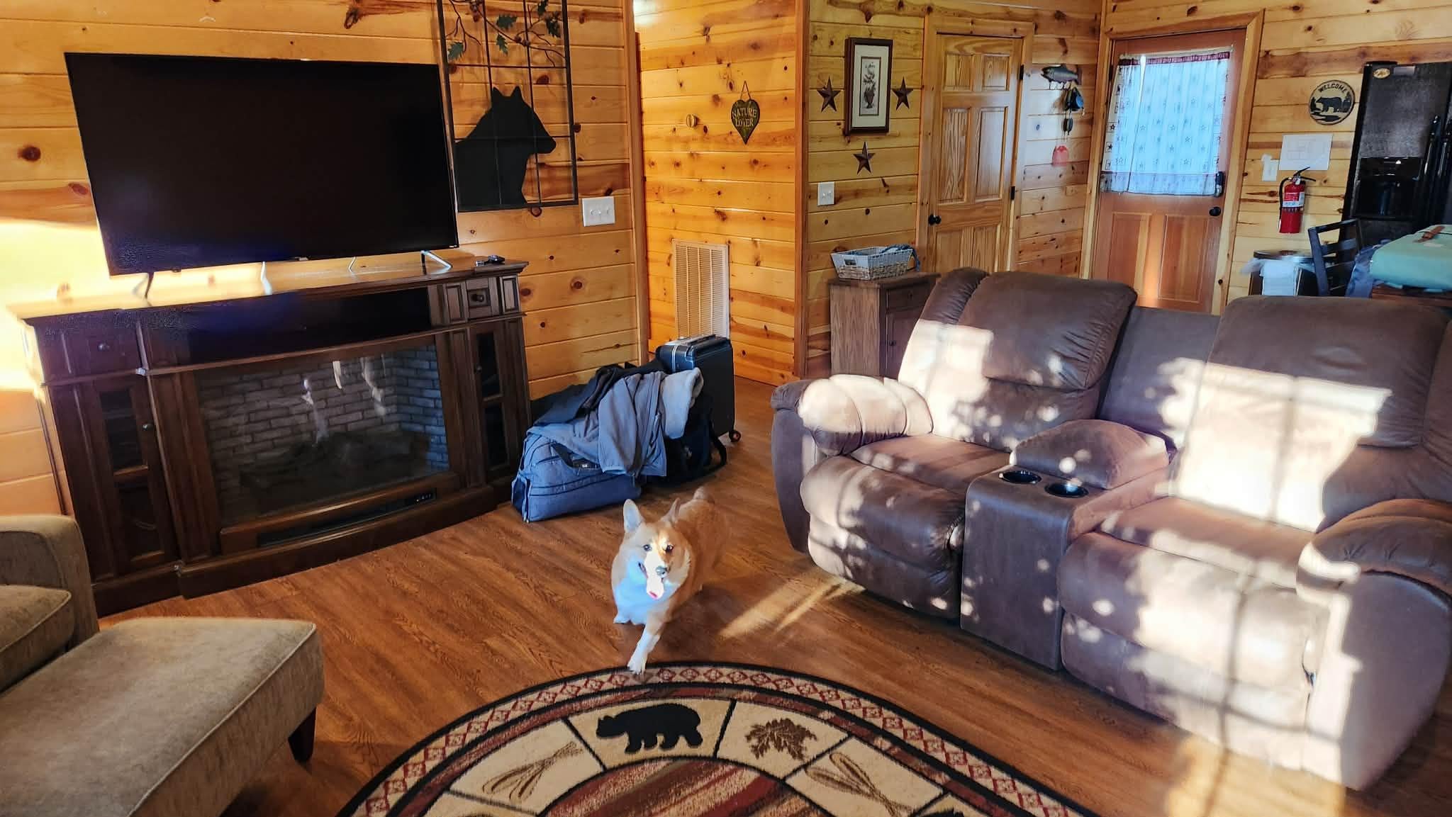 Pet friendly warm cabin environment