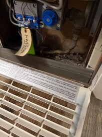 Filthy, unserviced gas wall heater.