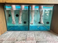 Fish Spa within walking distance.