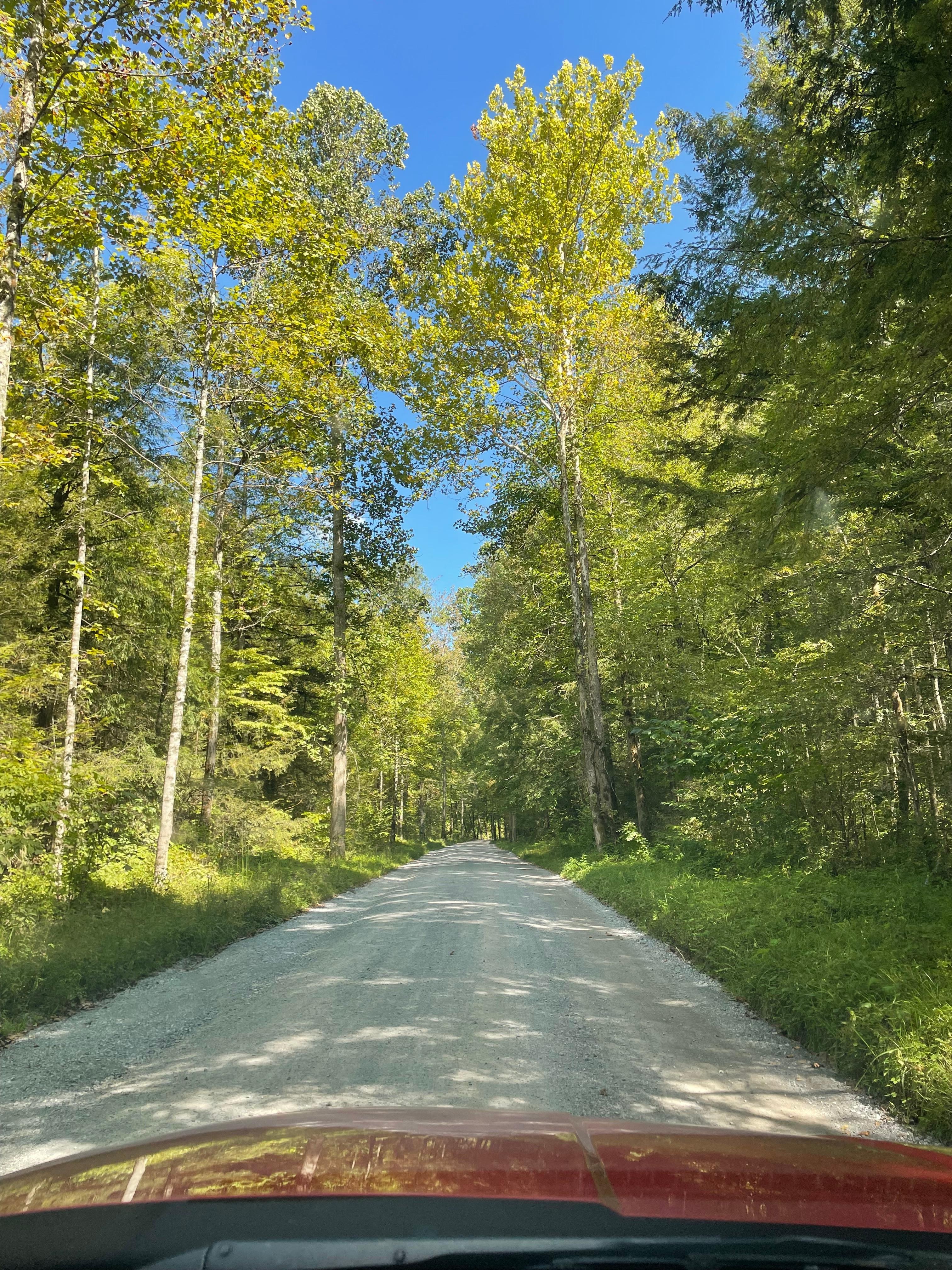 Road view on Arts and Craft Trail
