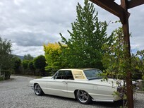 View from the outdoor table and chairs