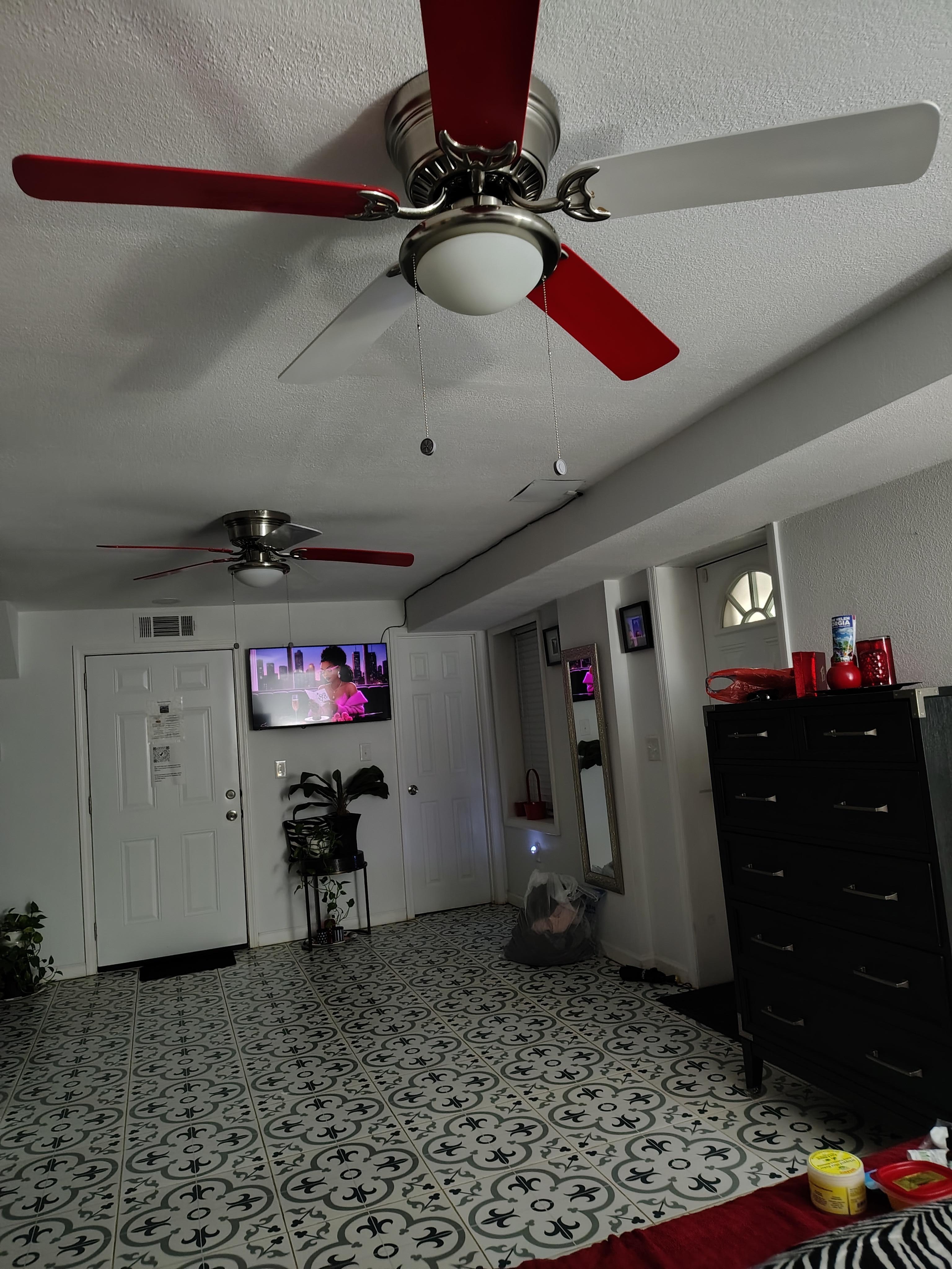 The FANS were a superb surprise!!