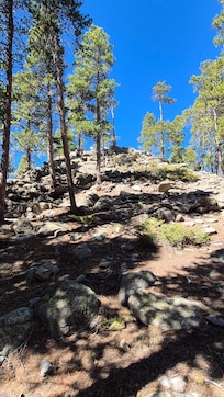 You have to climb the rocks on the back of the property. Beautiful view and easy climb. Took about a minute to get up top.