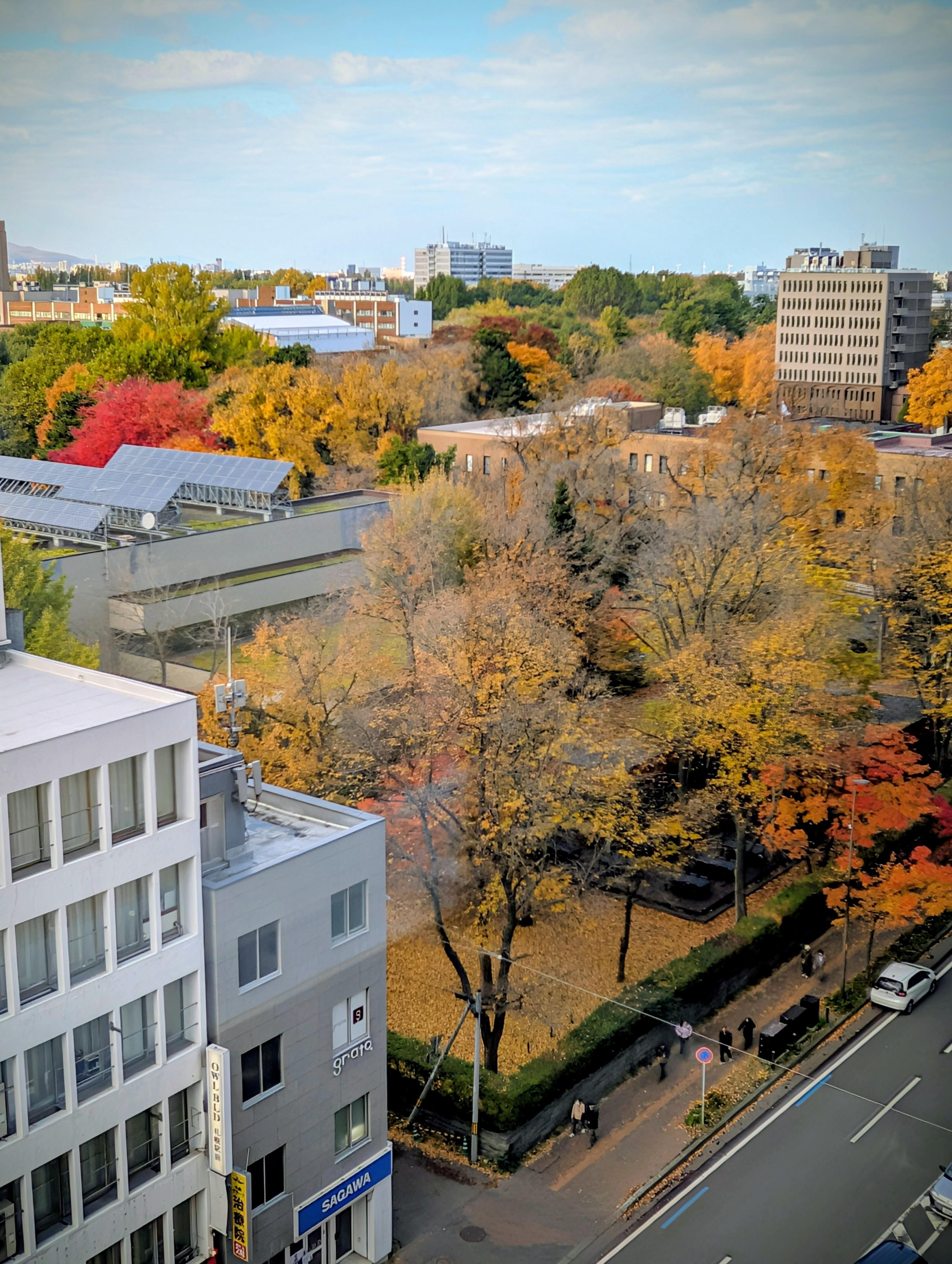 房間窗口斜下望就是北海道大學