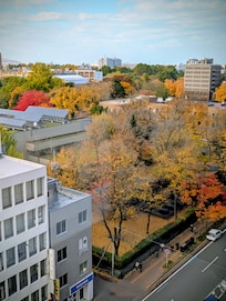 房間窗口斜下望就是北海道大學