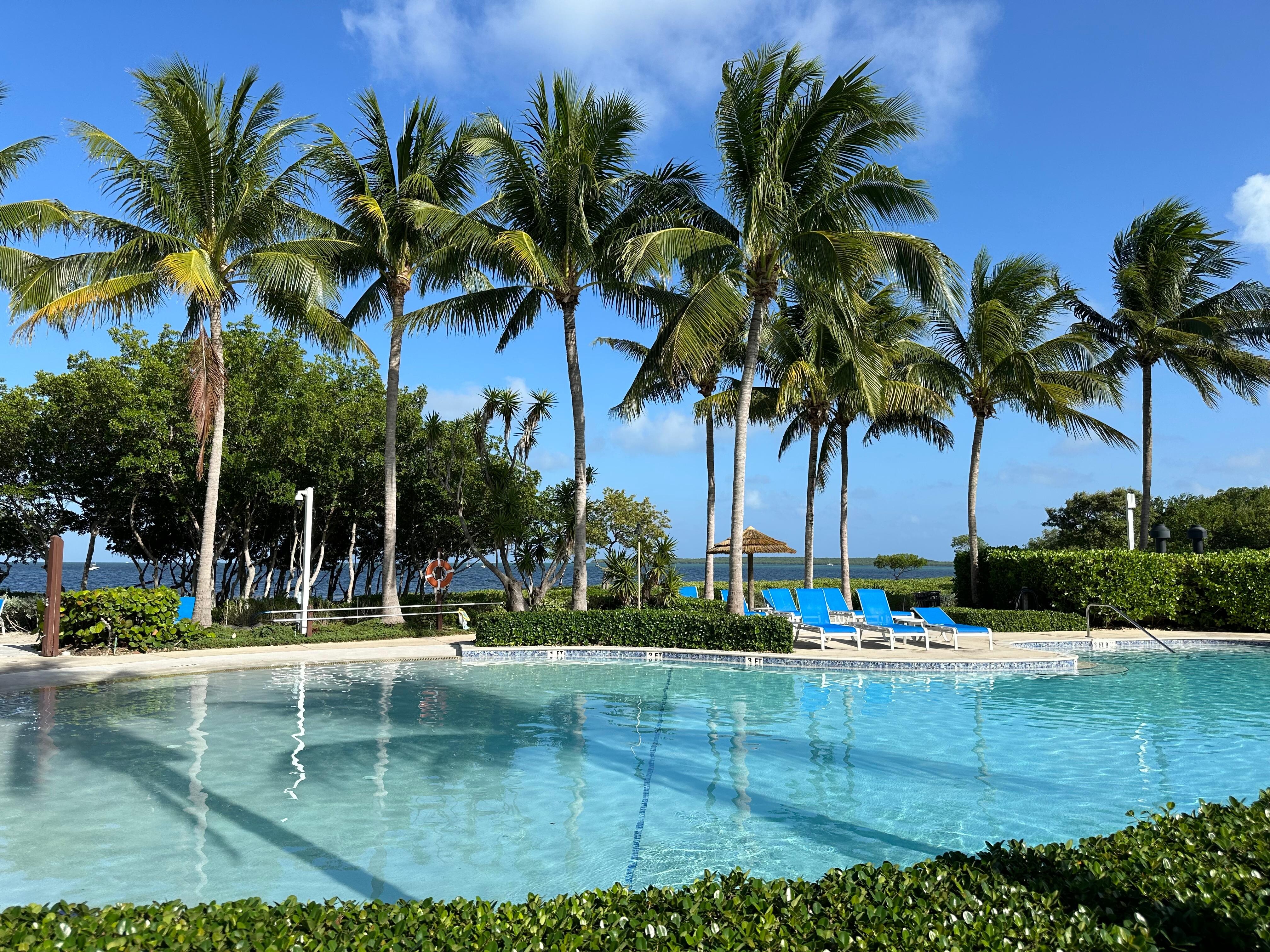 Pool area and our view