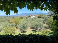 View from the covered porch with the grapevines framing the valley