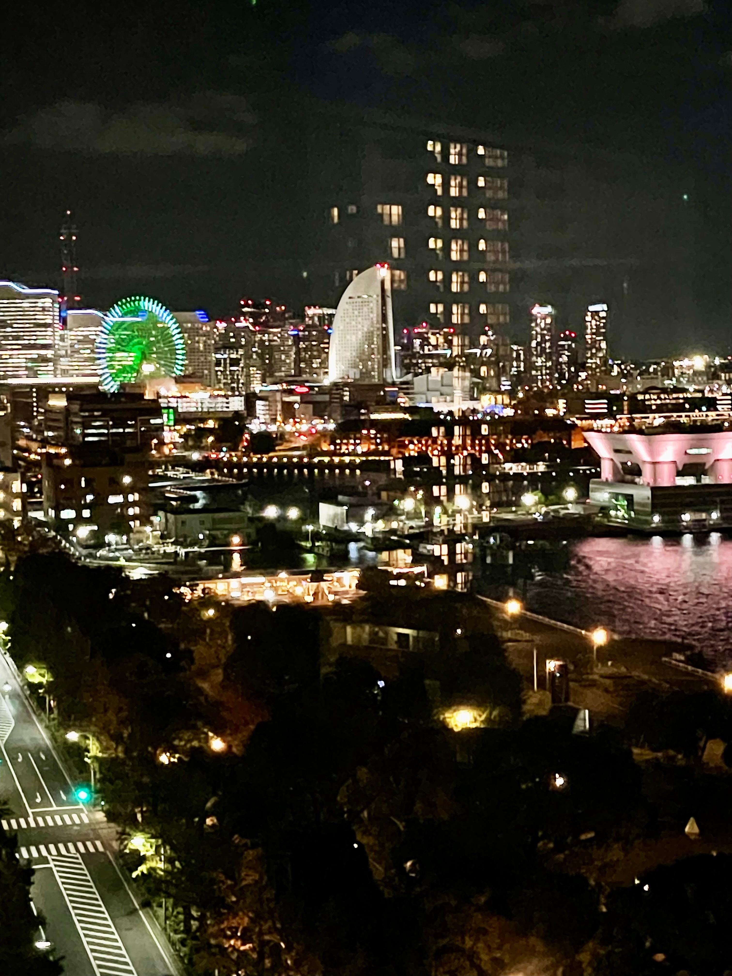 The view from our corner bayview room