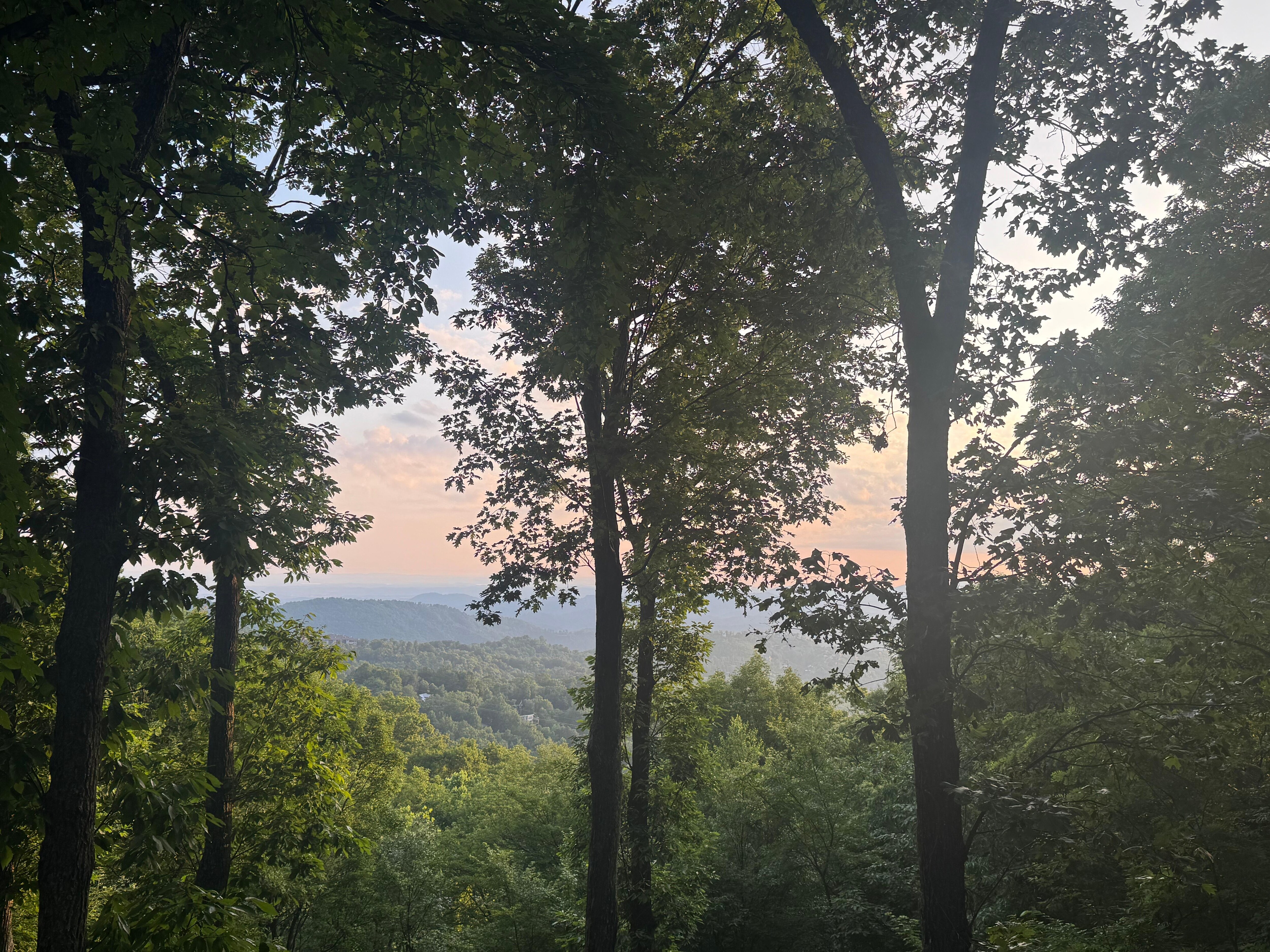 what a view! 