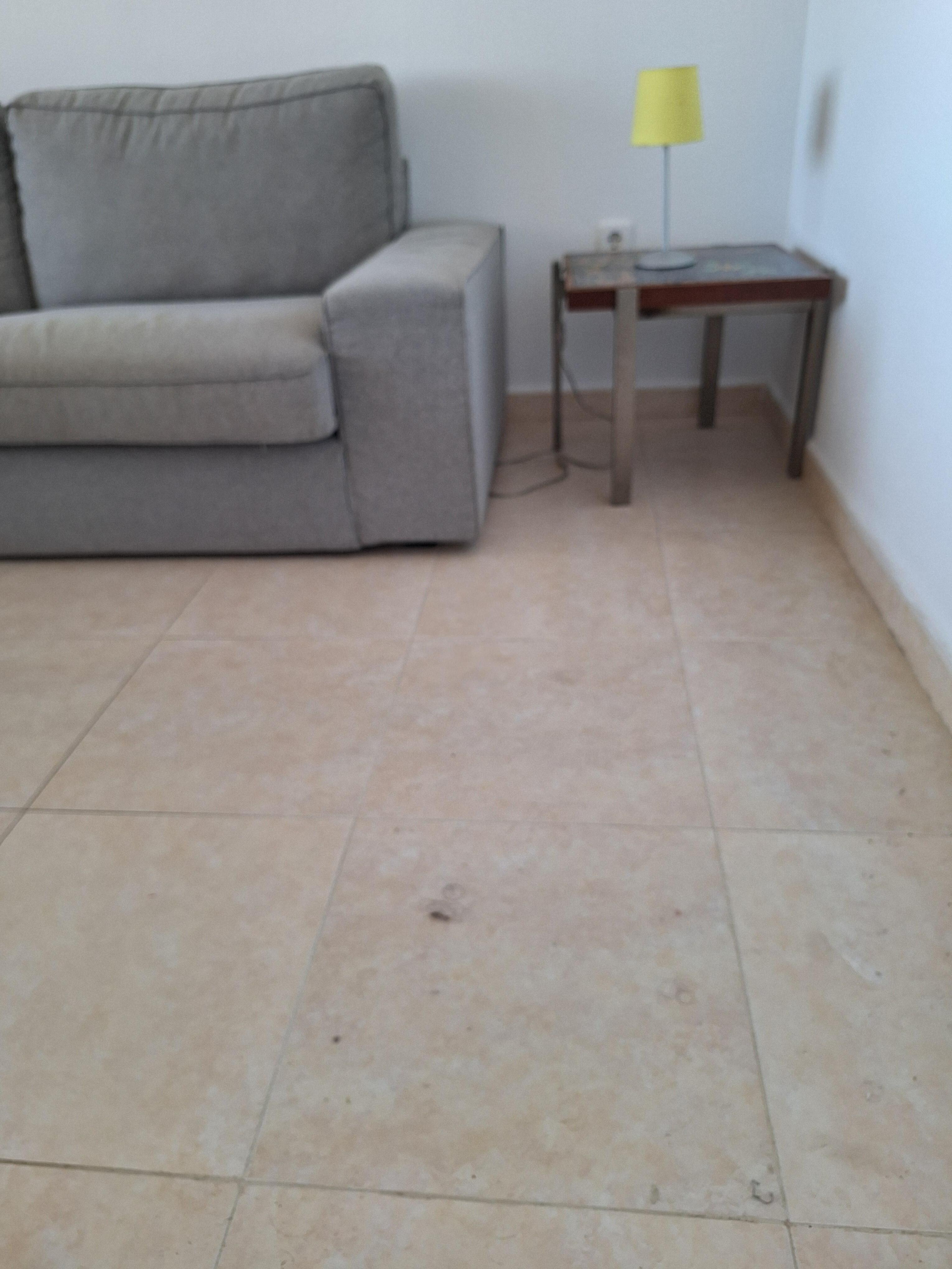 Alguna carencia en la limpieza