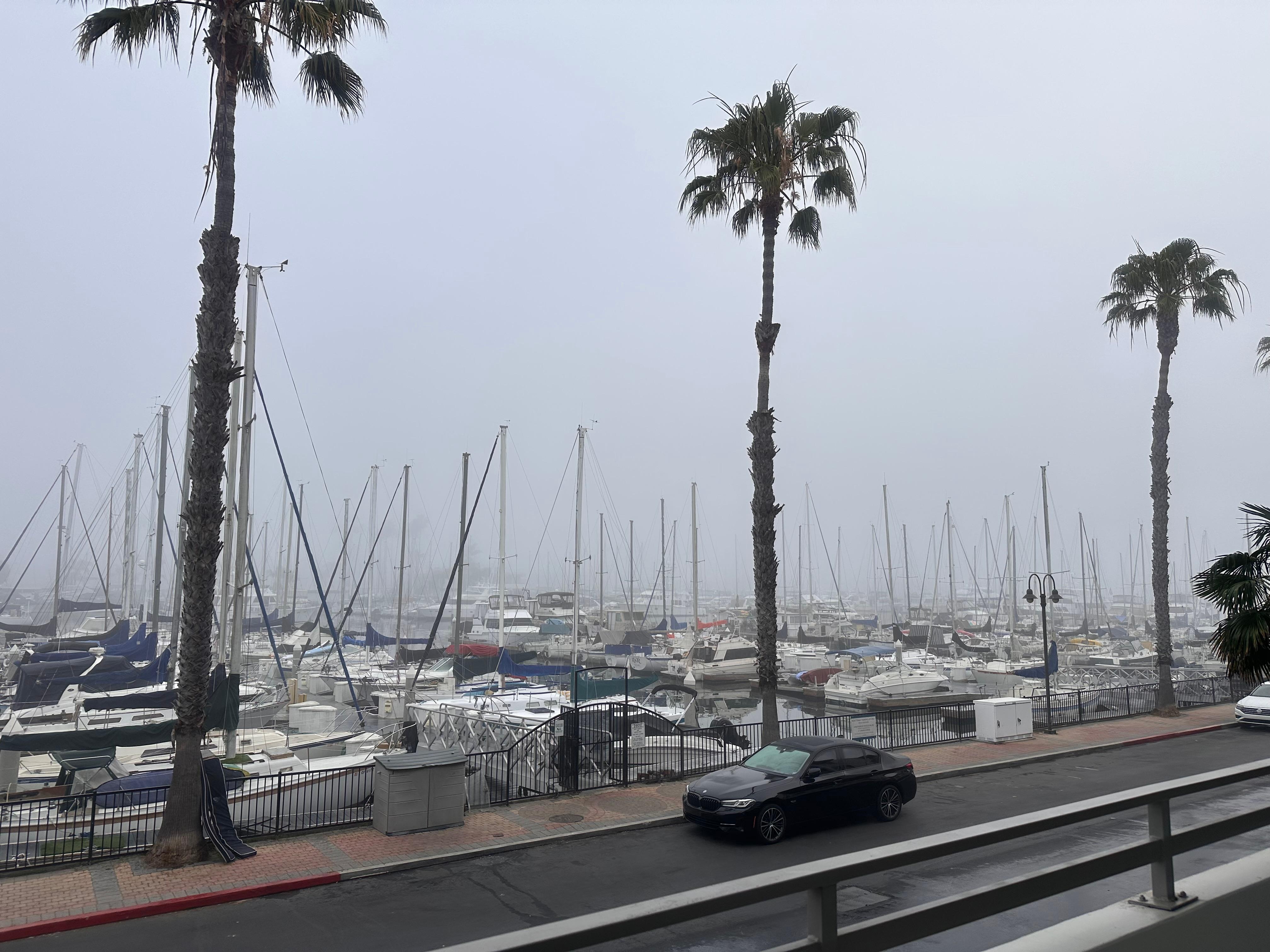 foggy view one morning