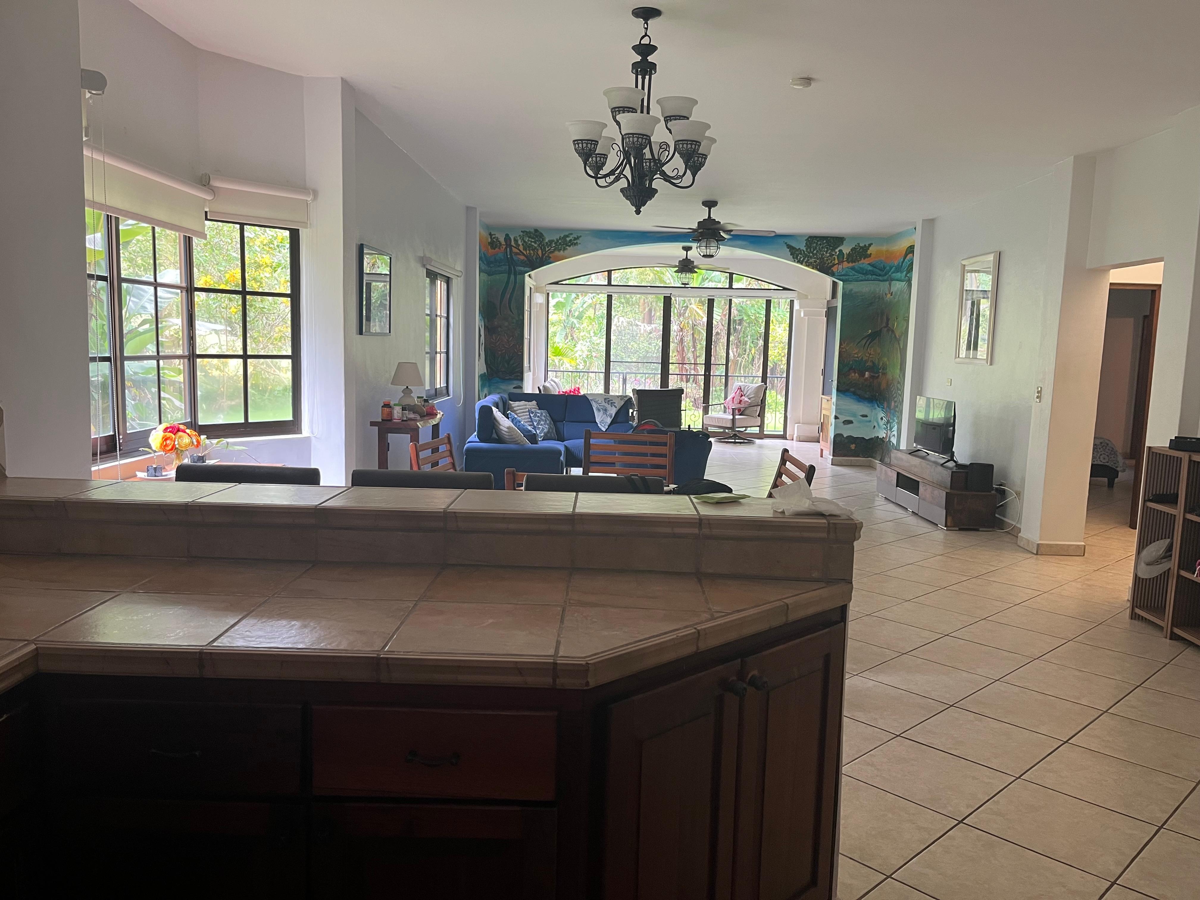 View from the kitchen to the backyard. 