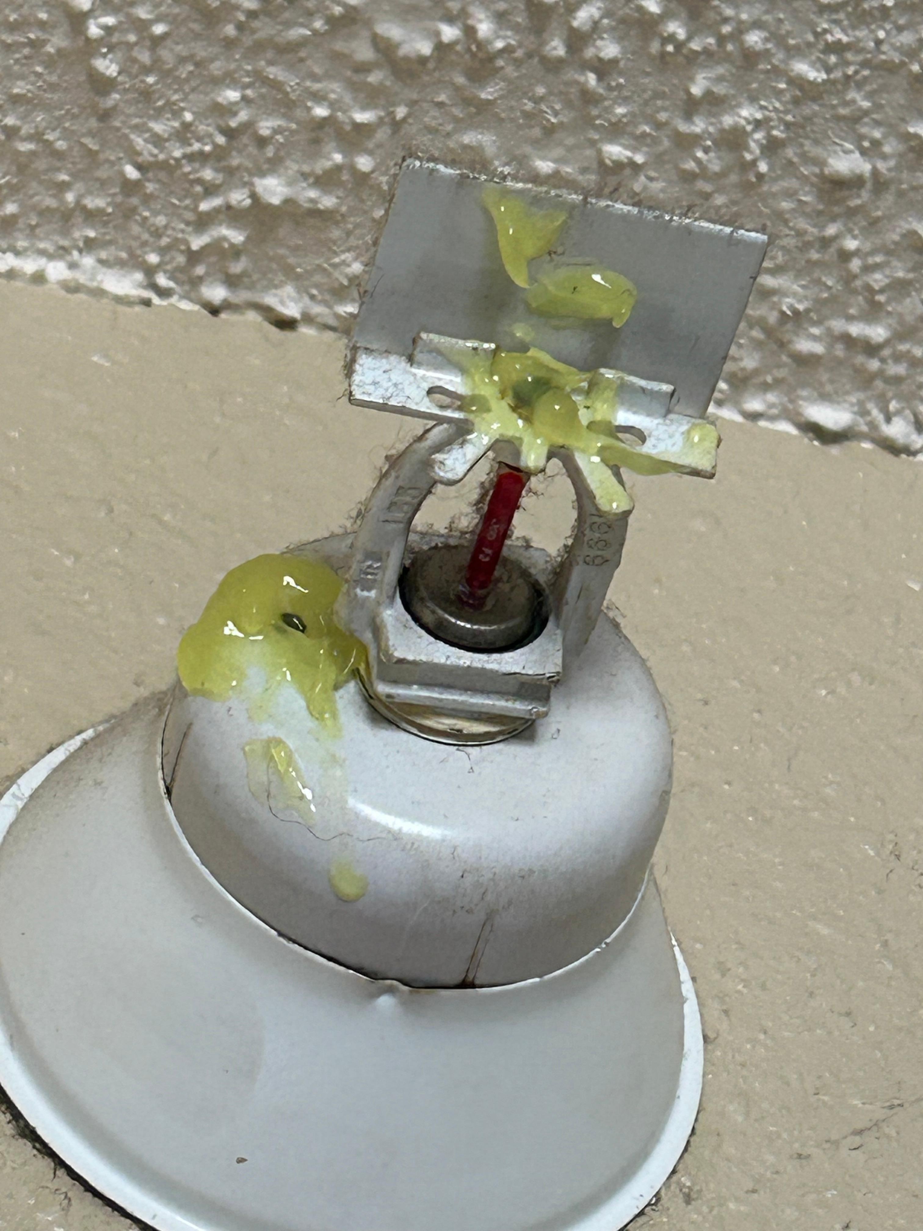 Who knows what this gunk was around the sprinkler and if it works?