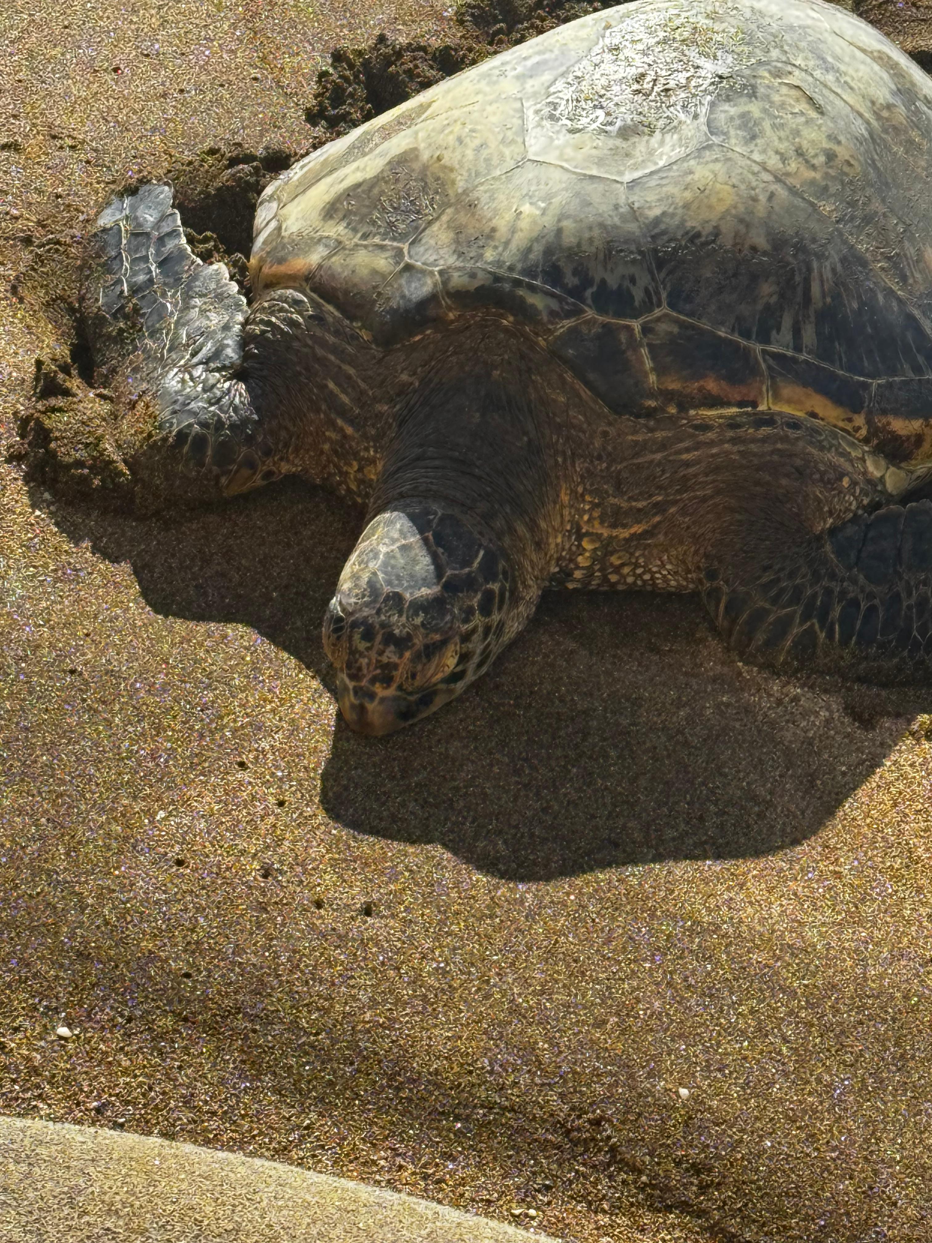 Just below our balcony