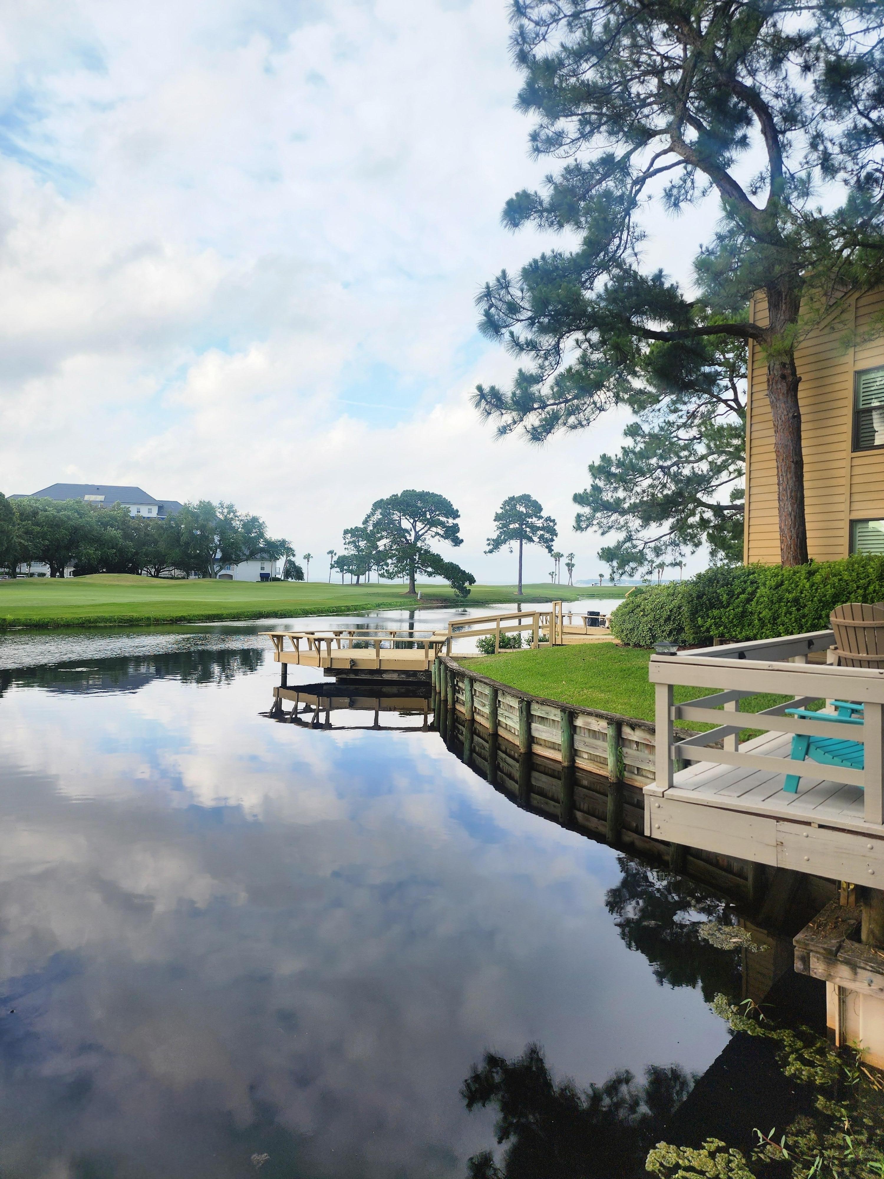 View from the porch.