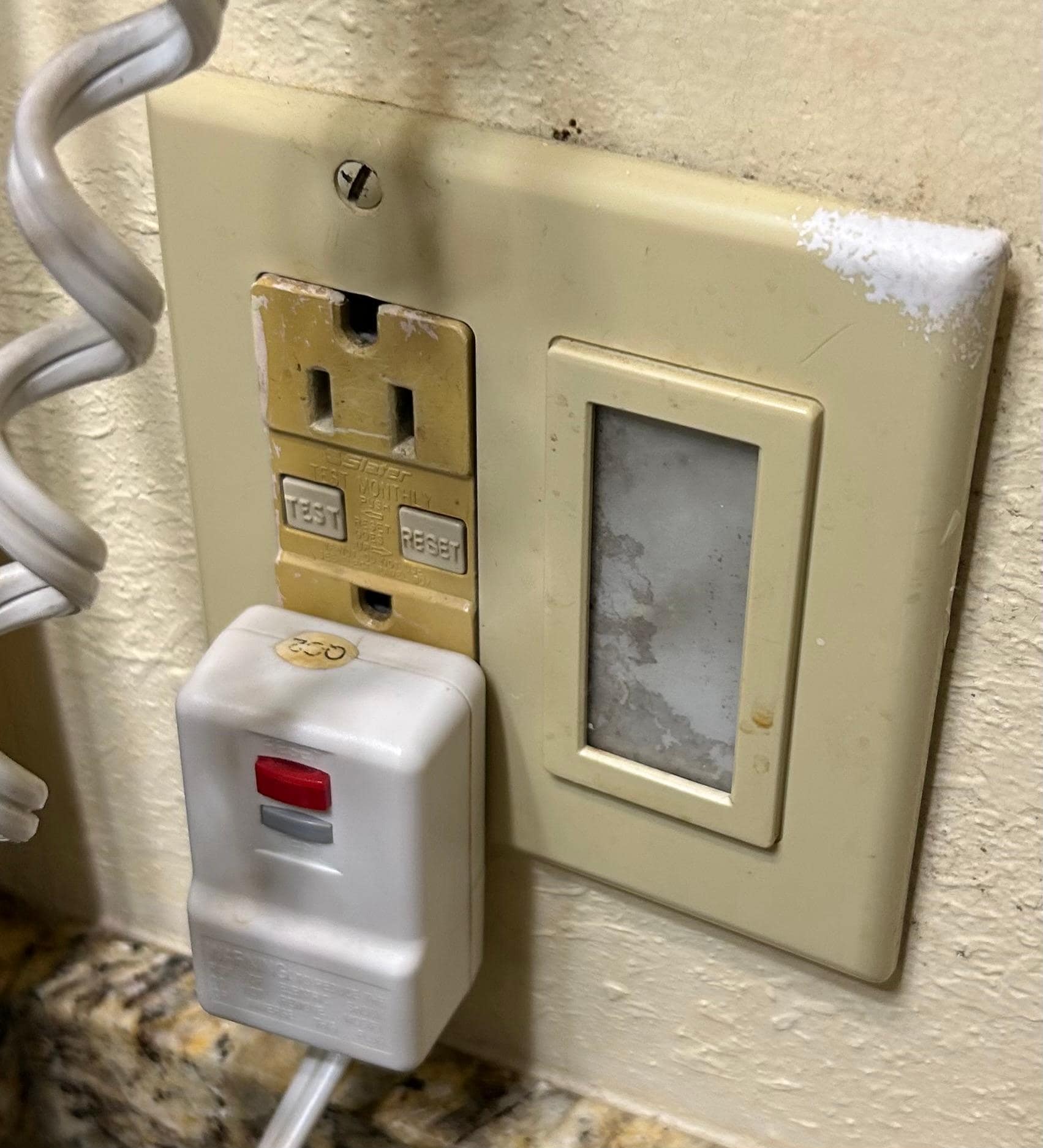 Filthy, moldy plate on electrical