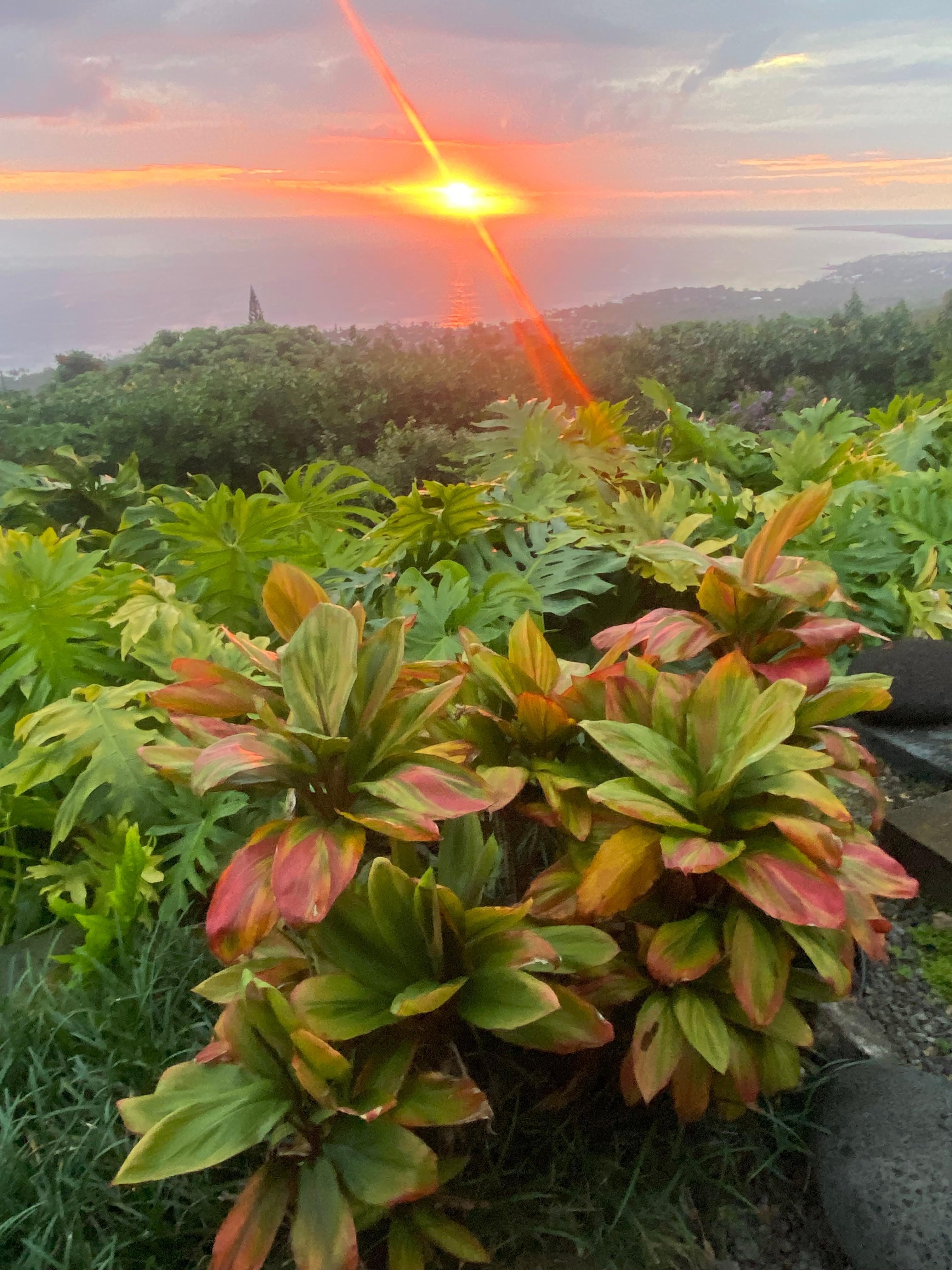 Sunset from the lanai.