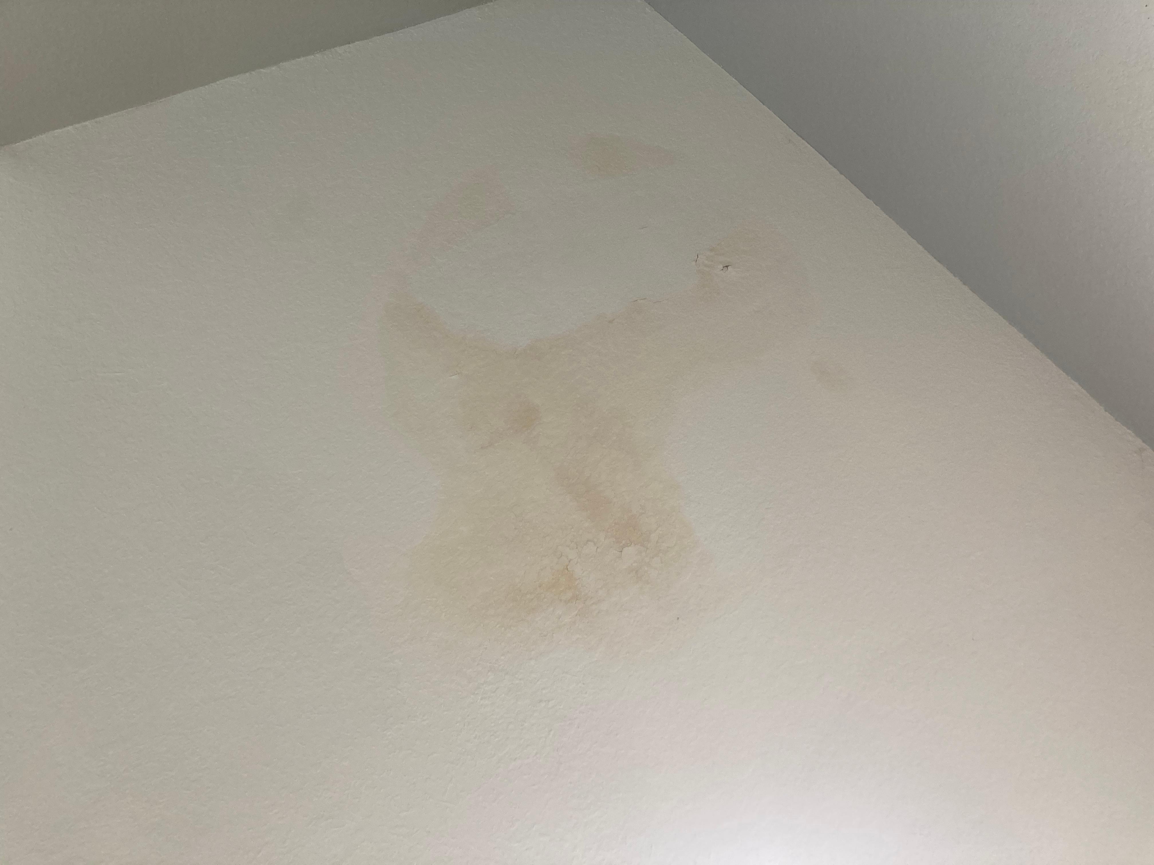 Water stain on ceiling in kitchen from water dripping down when someone uses upstairs shower