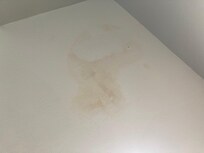 Water stain on ceiling in kitchen from water dripping down when someone uses upstairs shower
