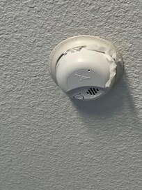Stuffed detector