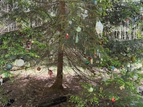 Highland Trail