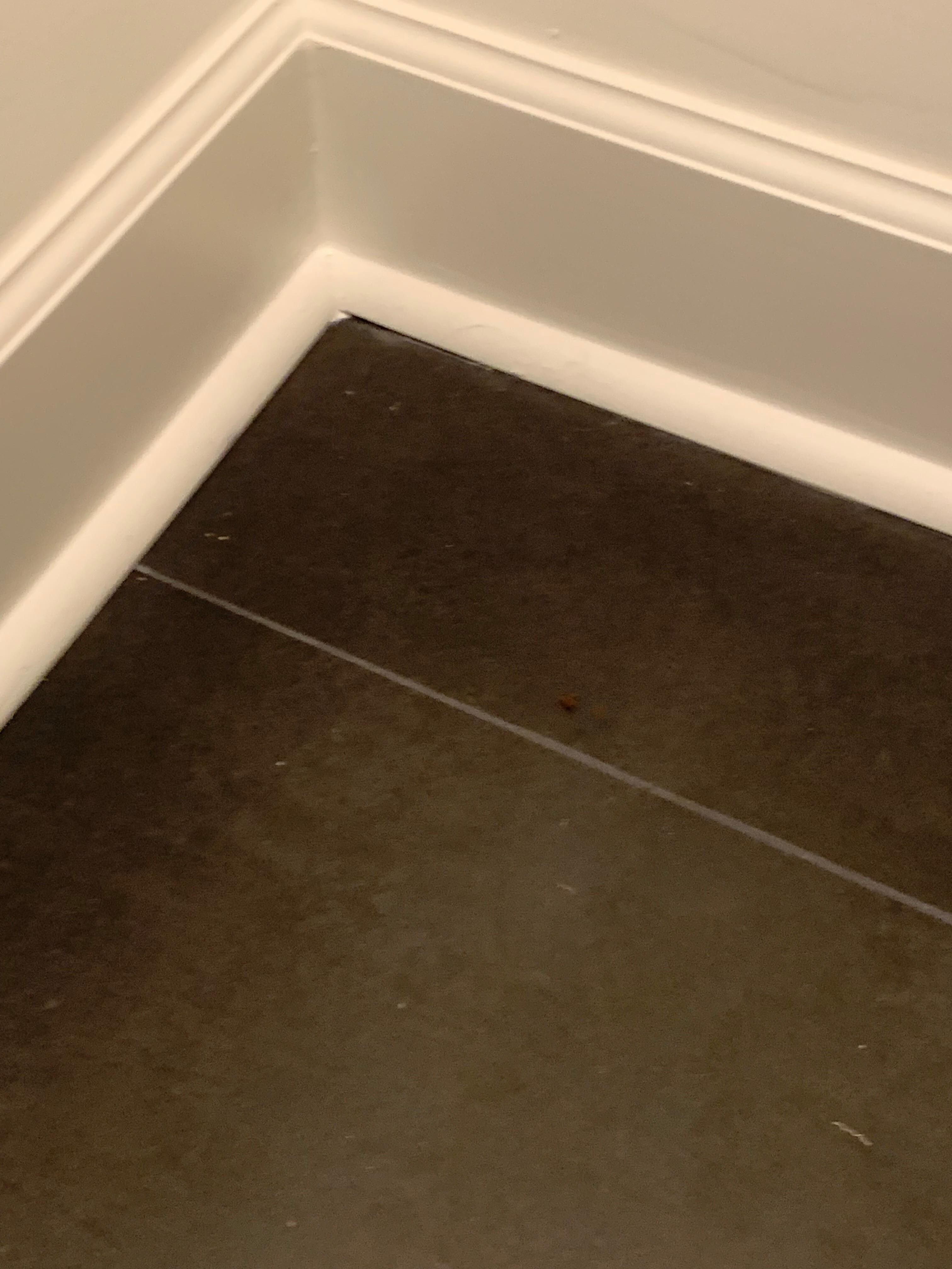 Nasty stuff on floors
