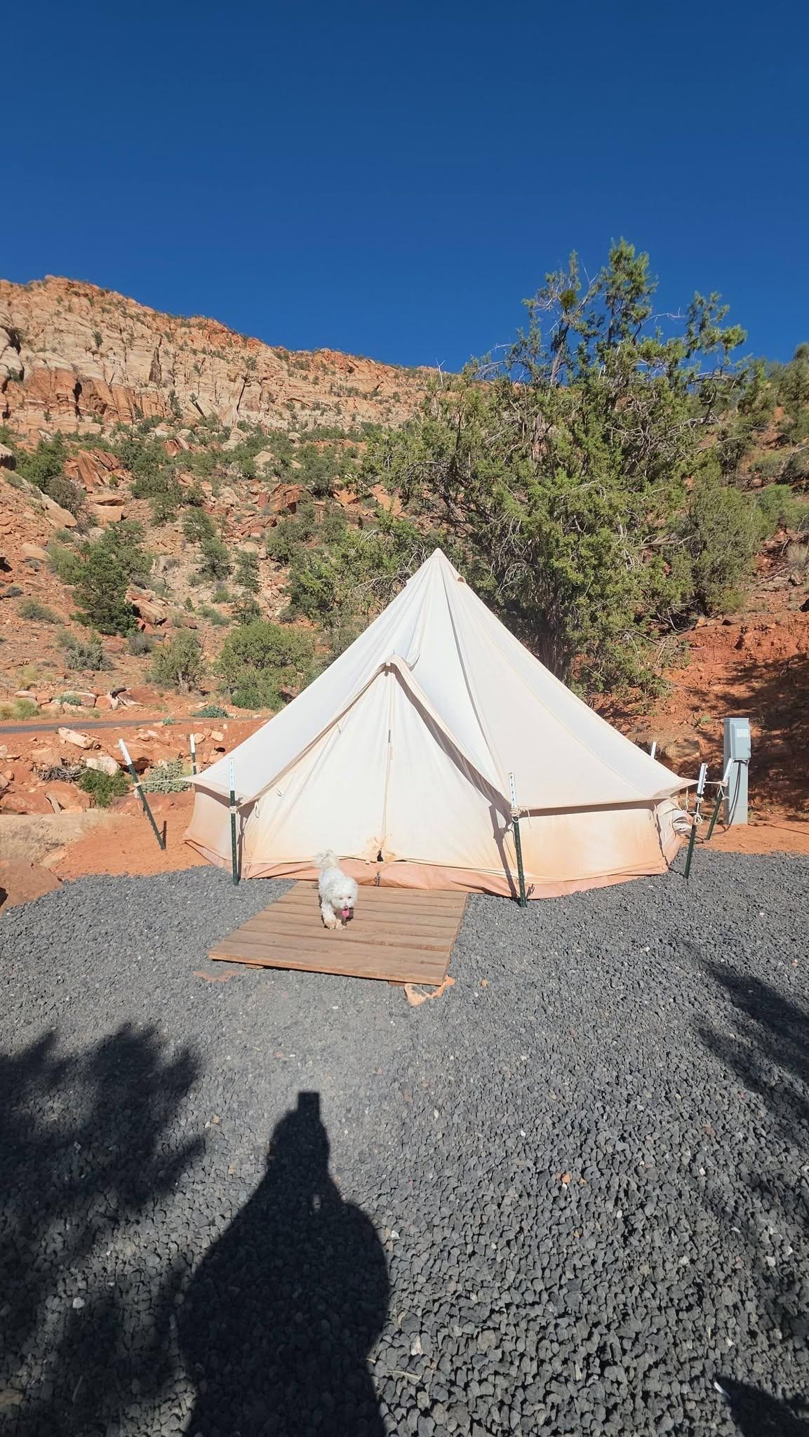 tent 1 king bed
