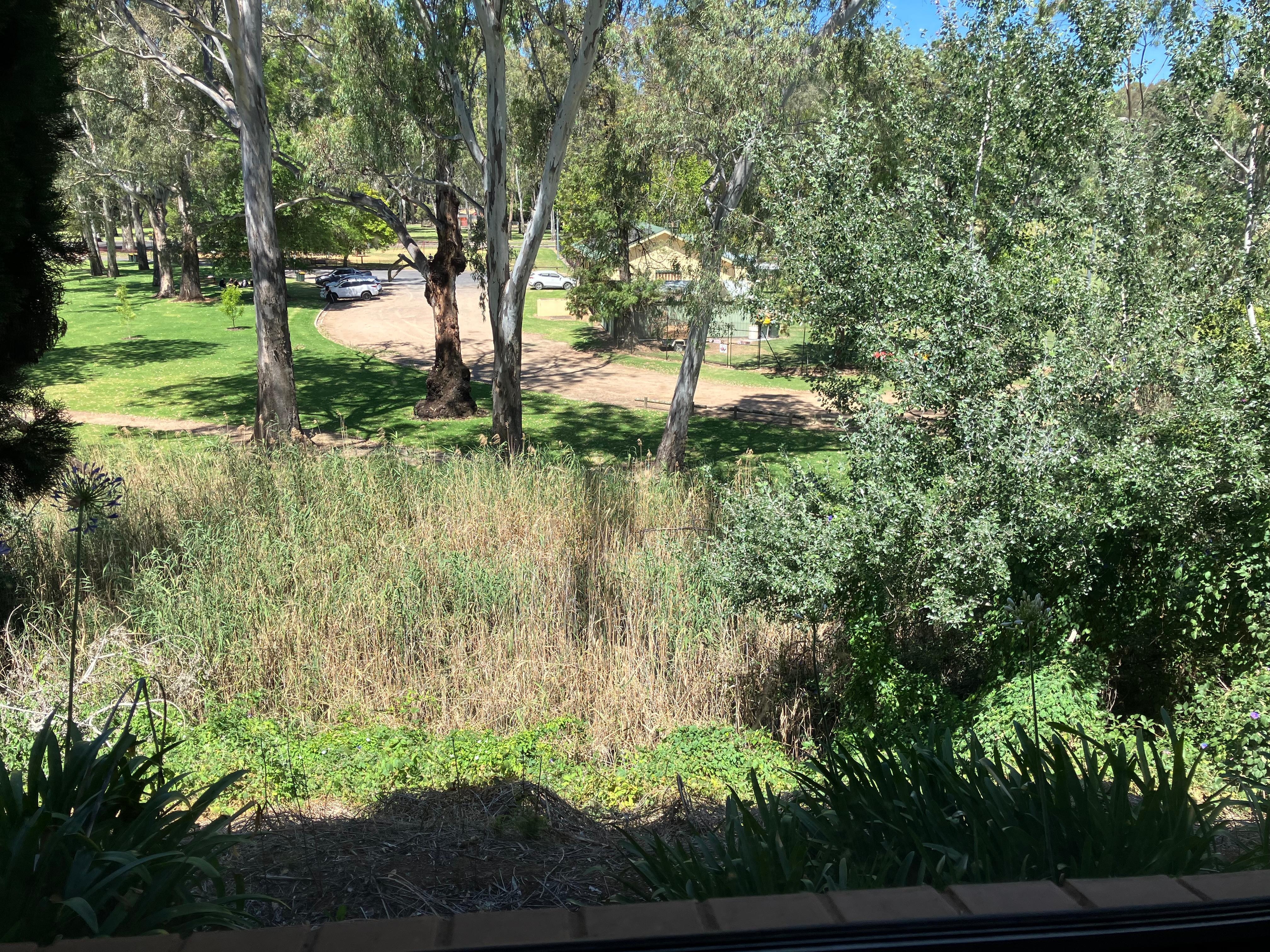 View from our room 10