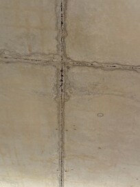Ceiling of the room.