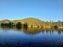 Just a few steps away from the back deck.