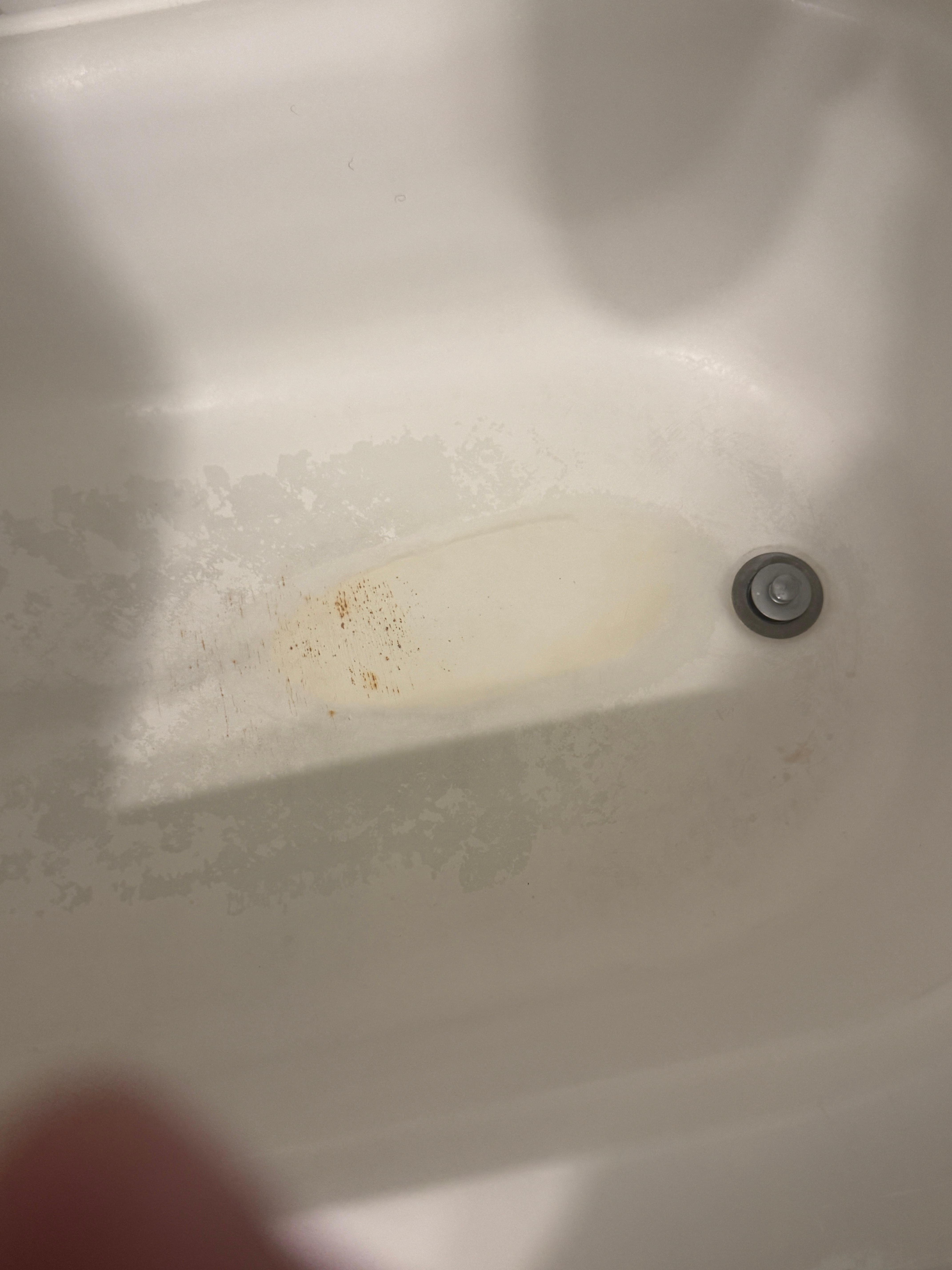 Filthy shower made me cringe going in