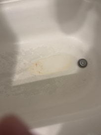 Filthy shower made me cringe going in