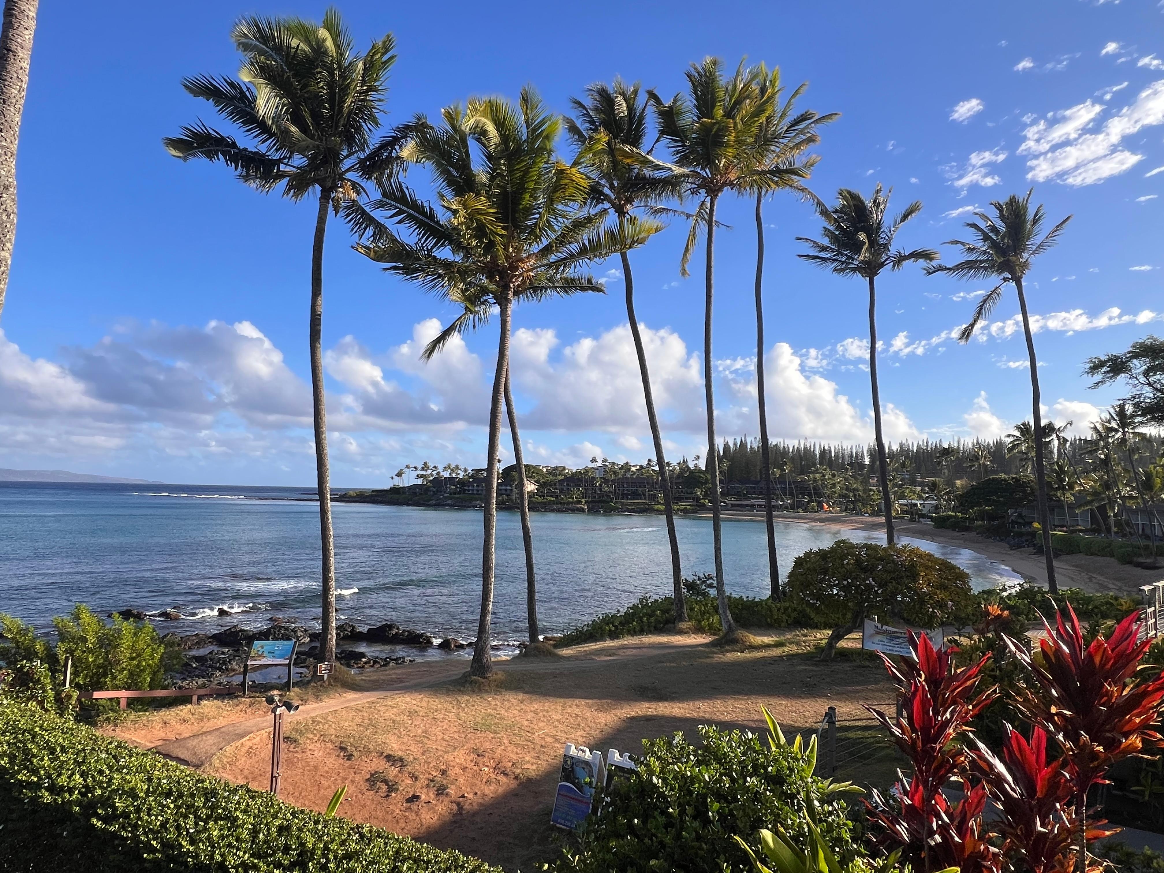 Napili bay view from A206 deck.