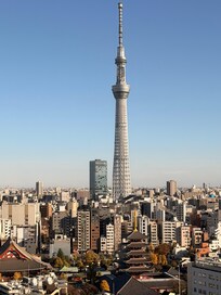 View from superior deluxe king room