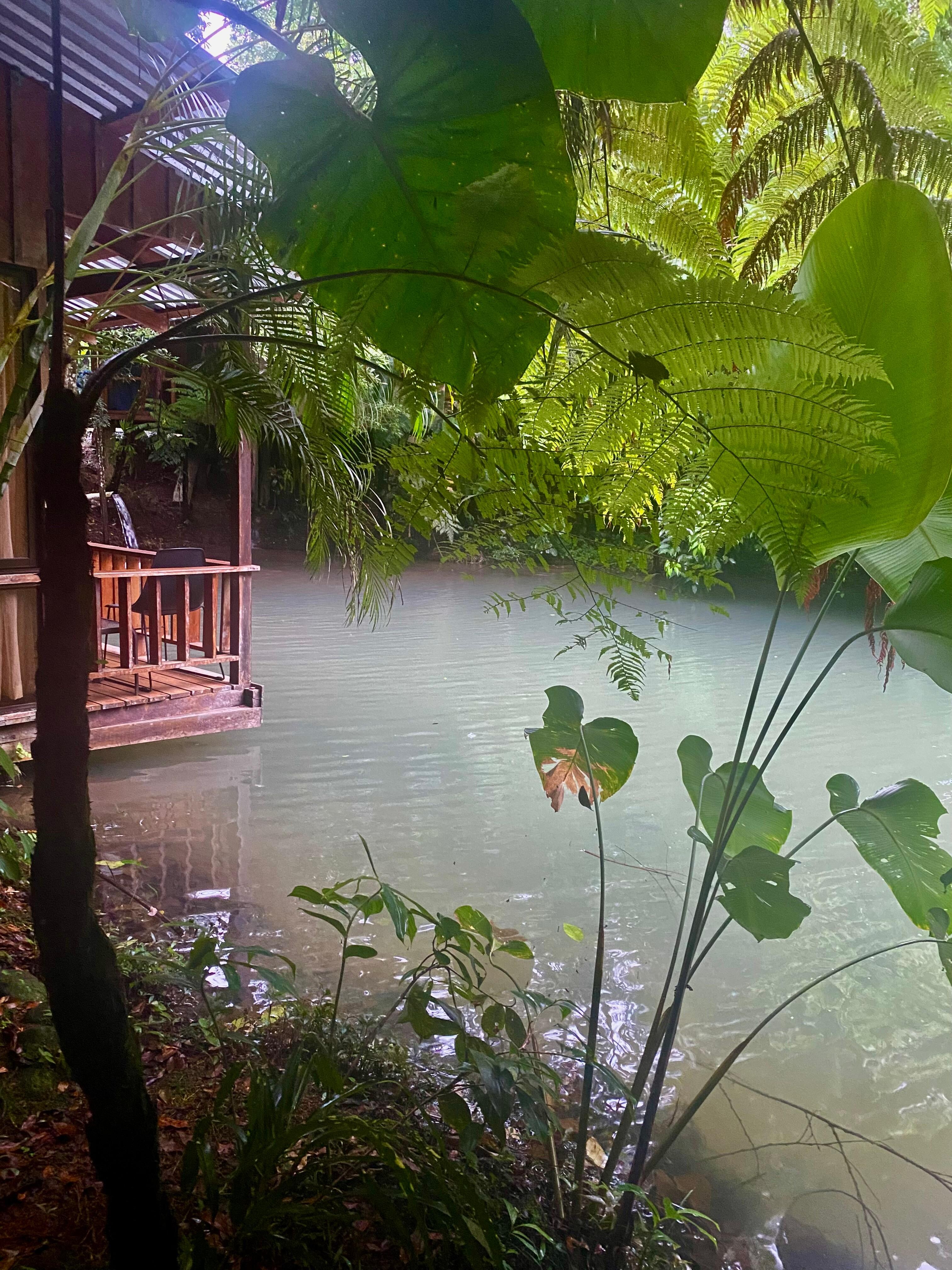View from the front door