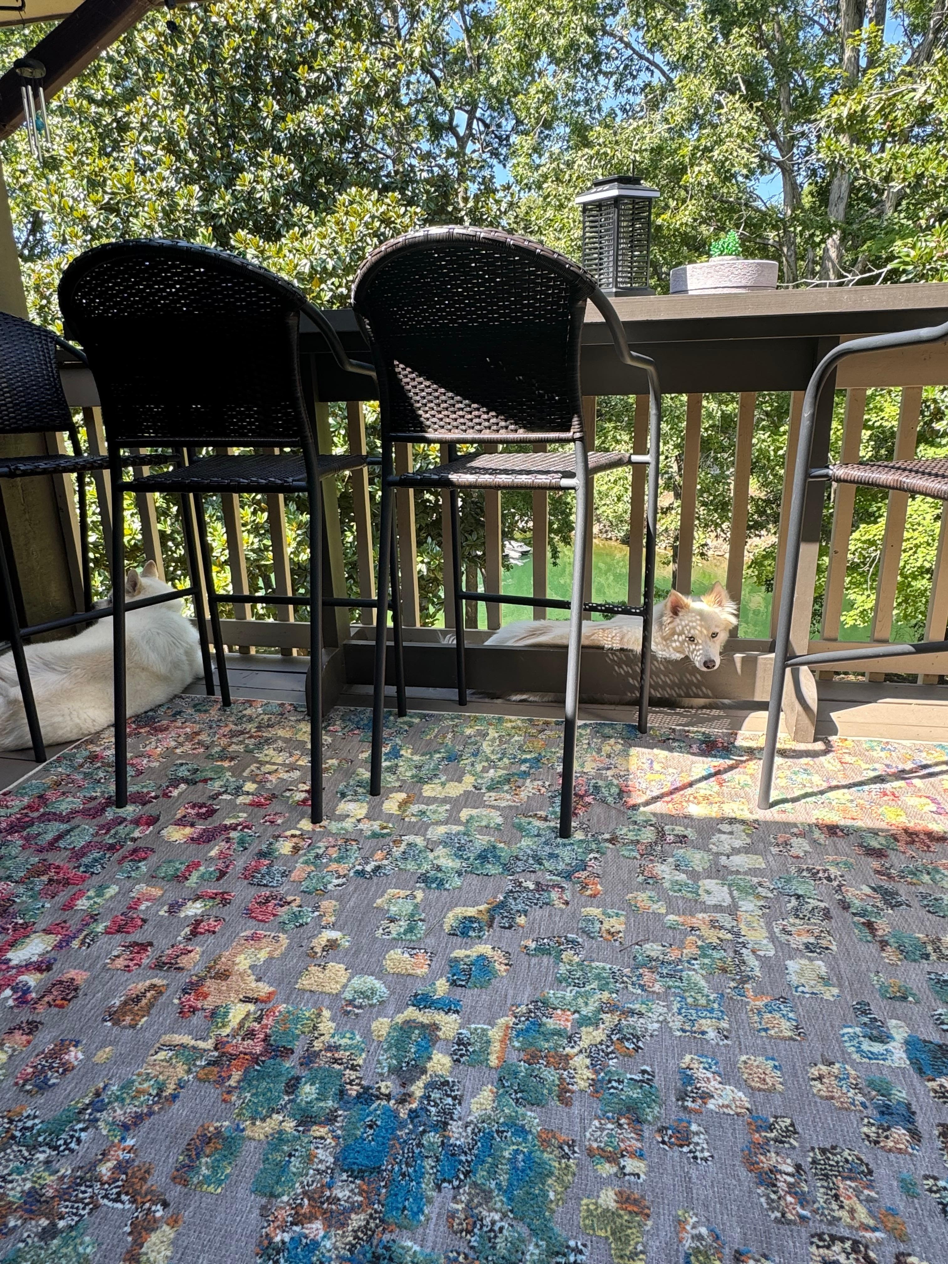 Beautiful green clear lake water view from the deck 