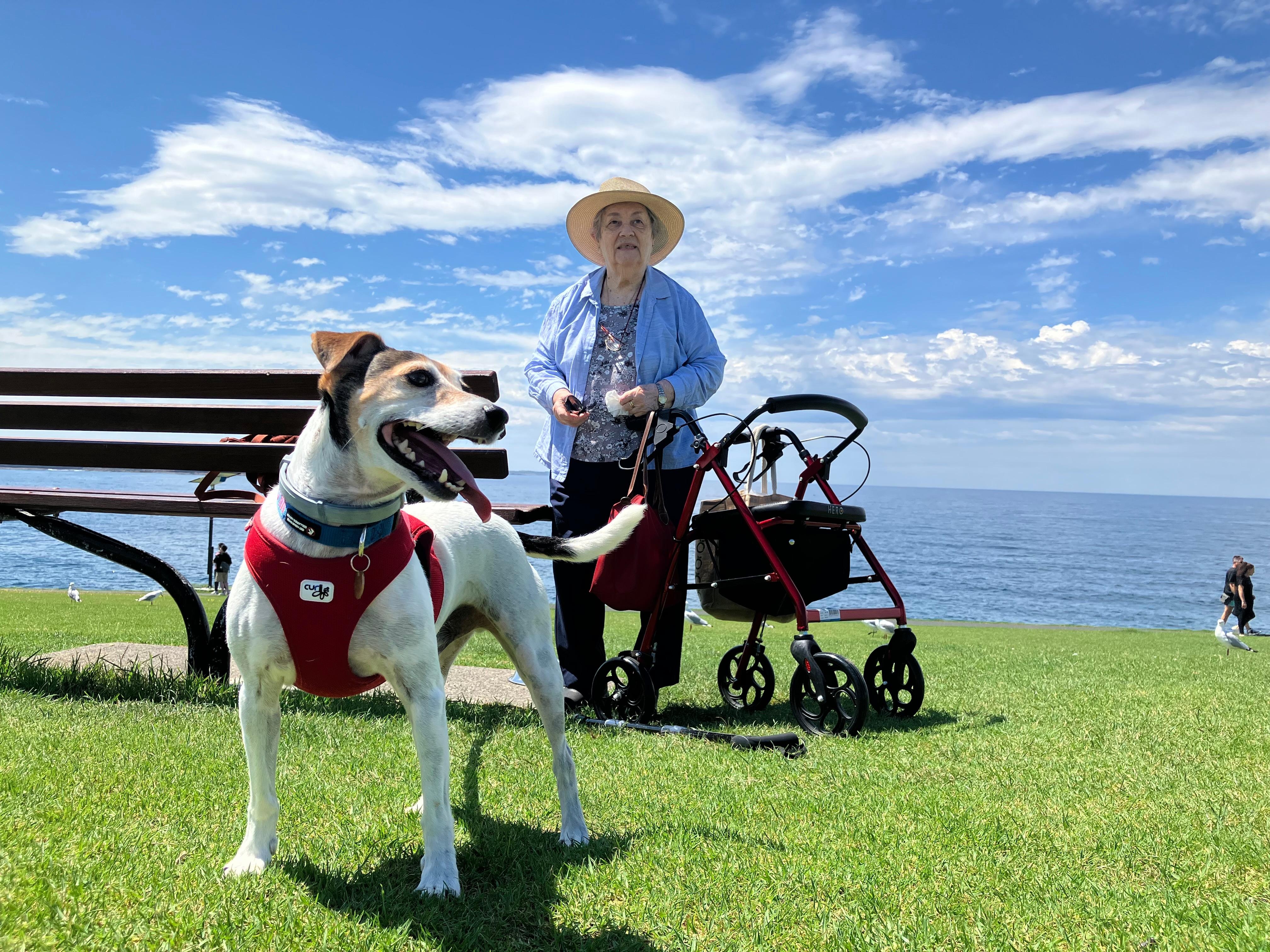 Kendall’s Beach Cottage is accessible for people using mobility aids and pet-friendly. 

Located a very short walk to Kendall’s Beach, and a few minutes’ drive to both blowholes and Kiama town centre, what’s not to love!