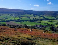 Easy hike along the ridge