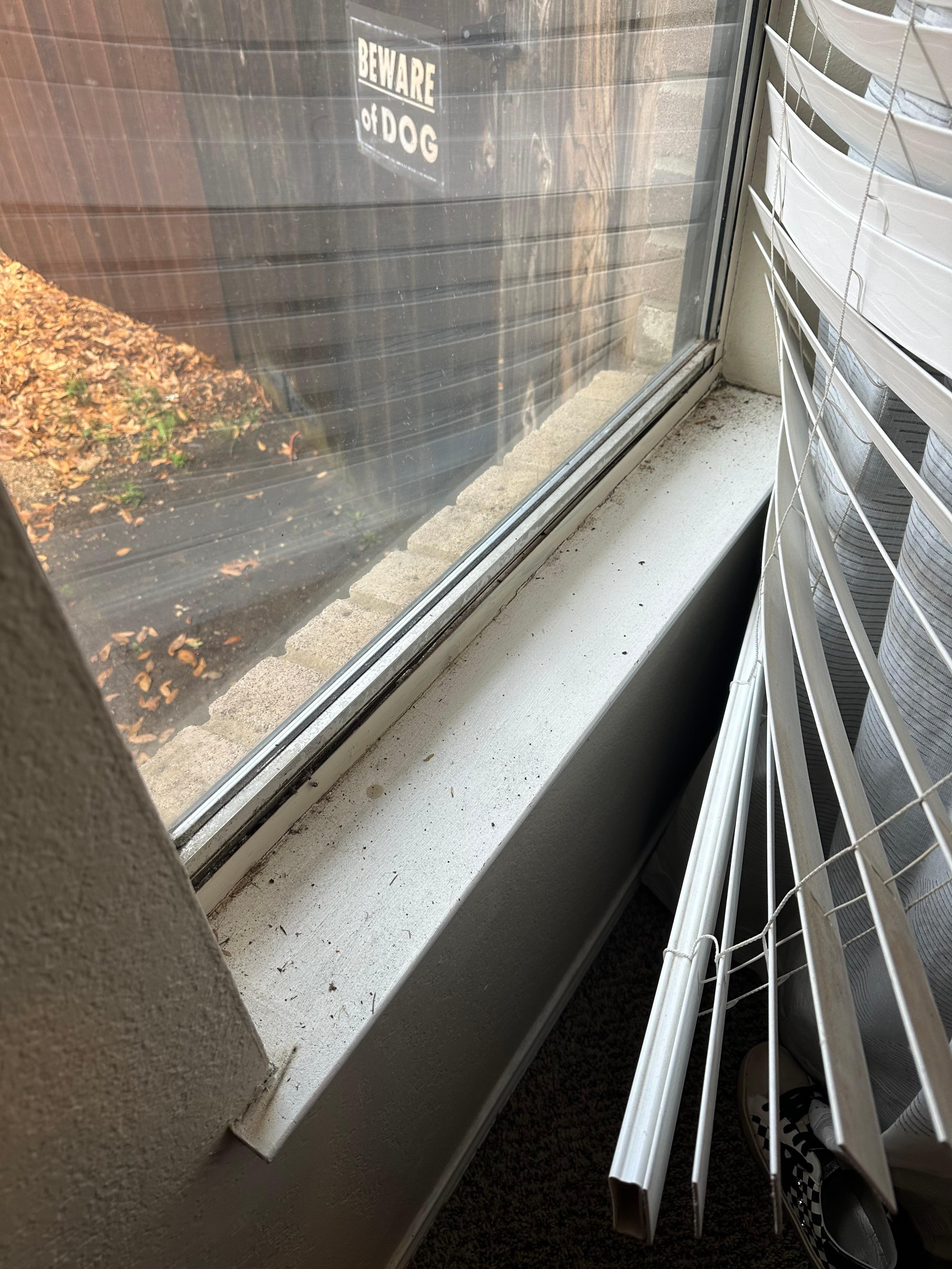 Master bedroom window