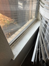 Master bedroom window