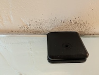 Mold on ceiling second area