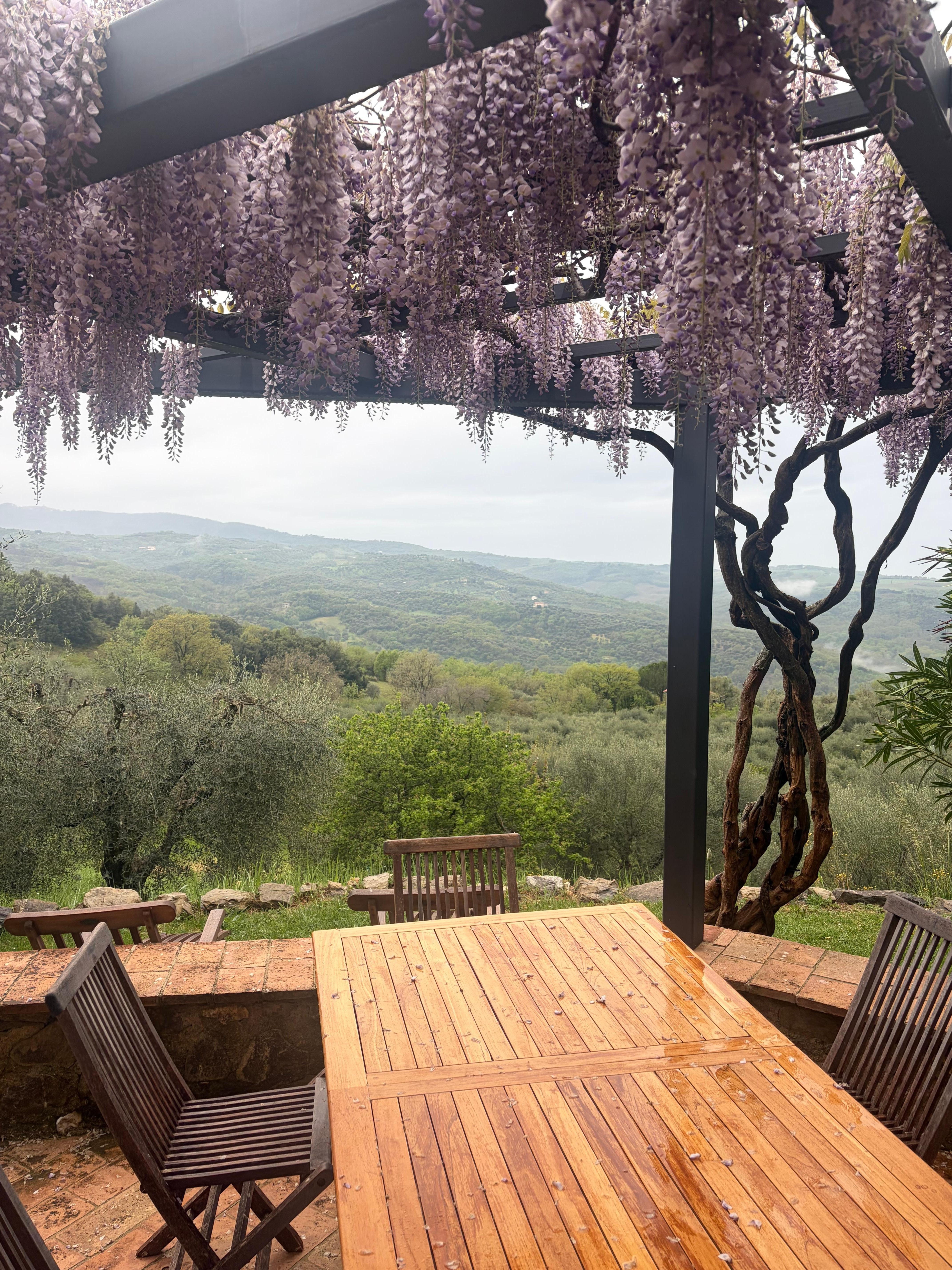 View from the terrace