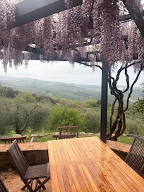View from the terrace