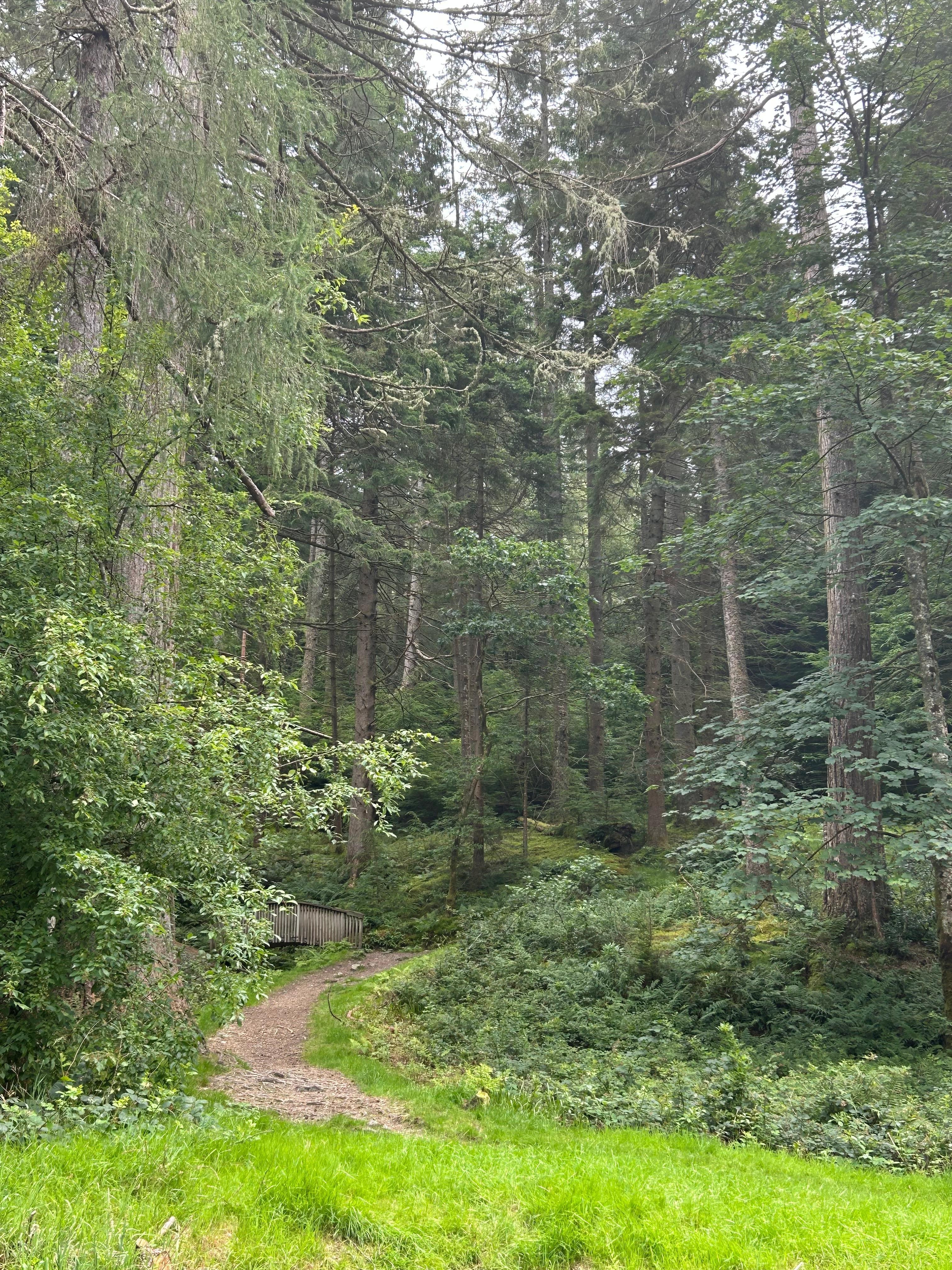 One of the local walks 