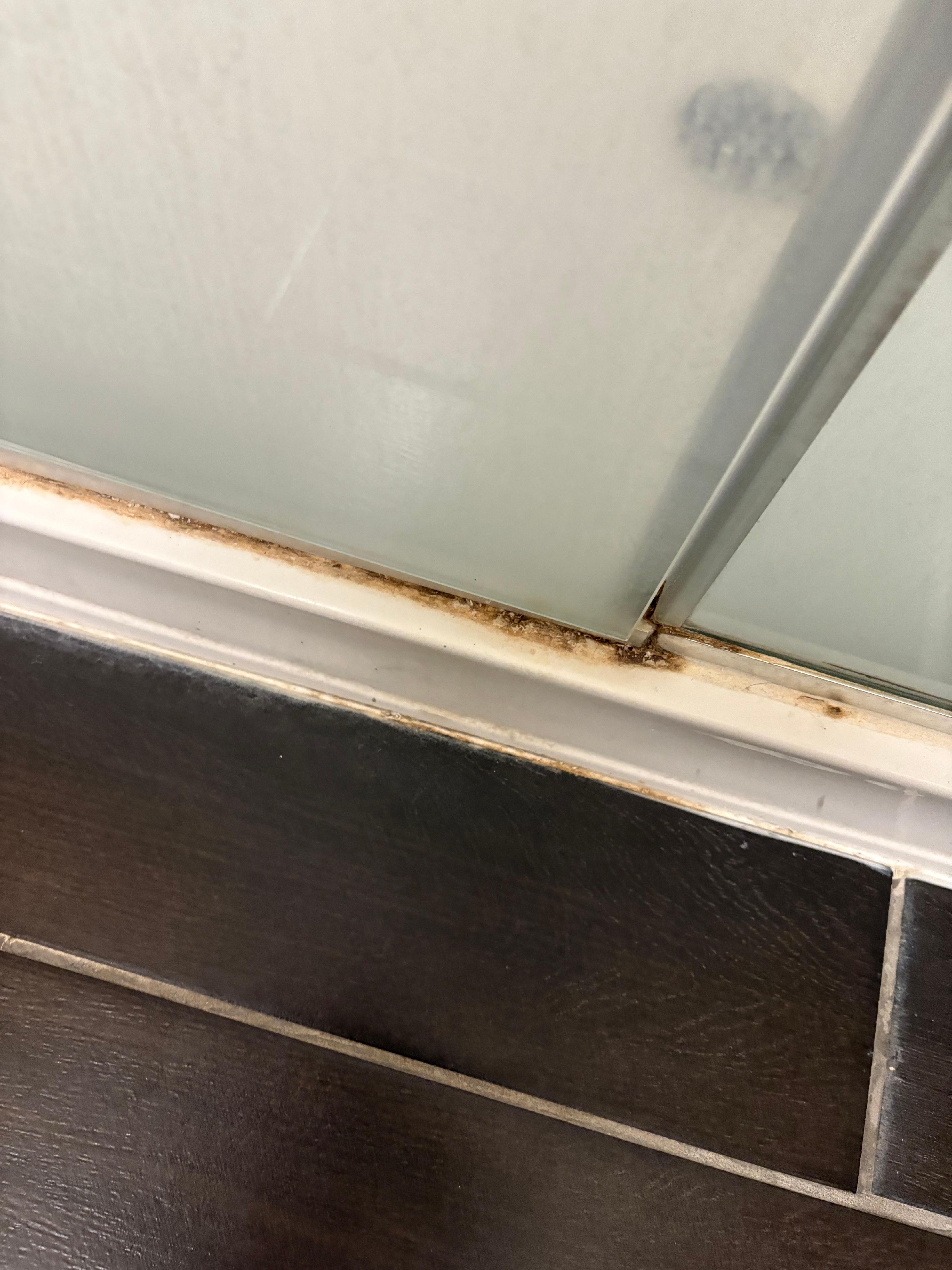 Shower cracks were gross looking. 