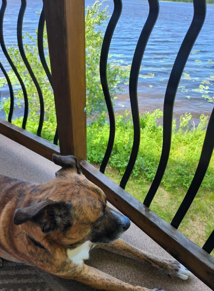 Deck.