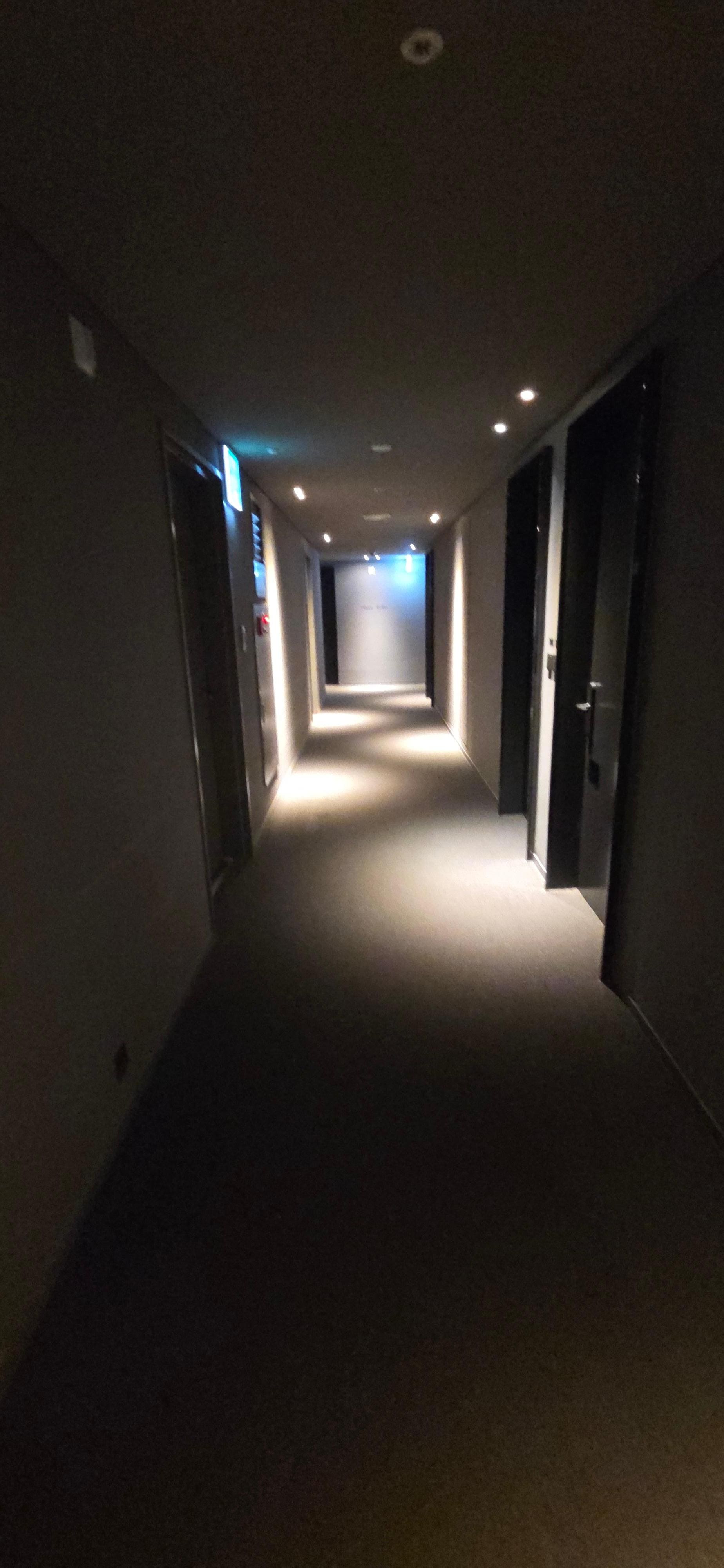 Halls are dark and the carpet is bumpy. 
