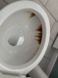 Dirty moldy toilet