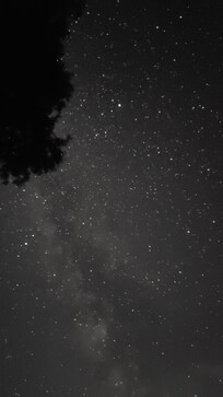 Looking up at the milky way from the dock