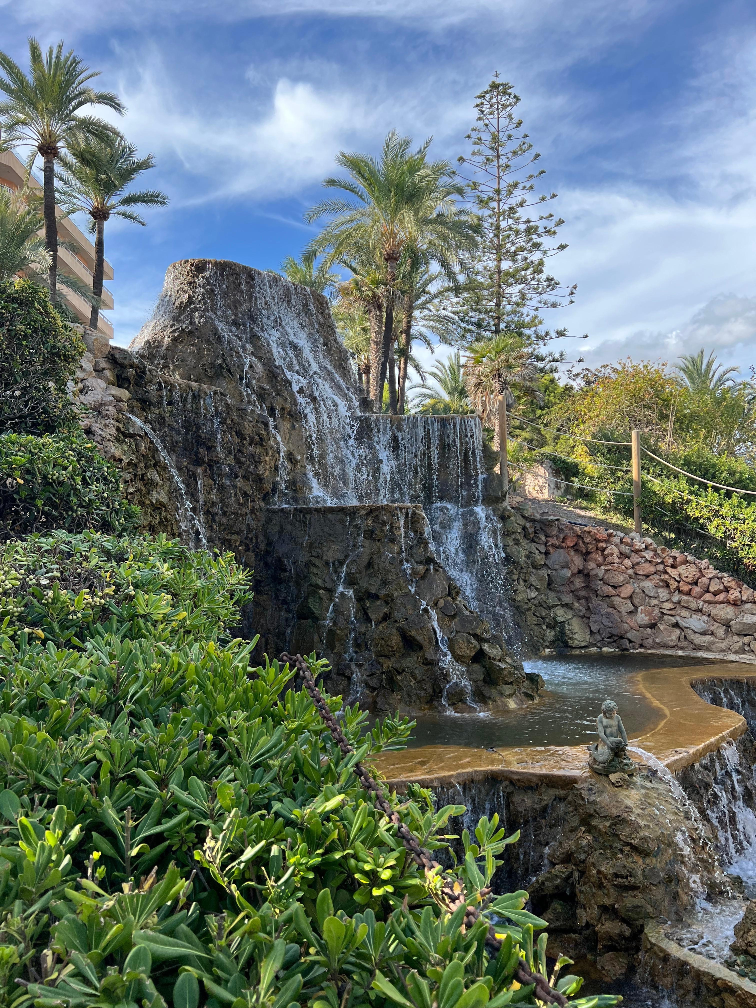 Trädgård vid poolen 